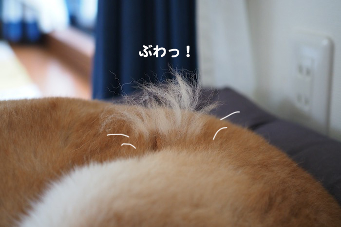 28日夕ブログ４