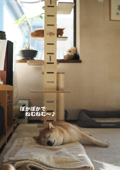 27日ブログ１