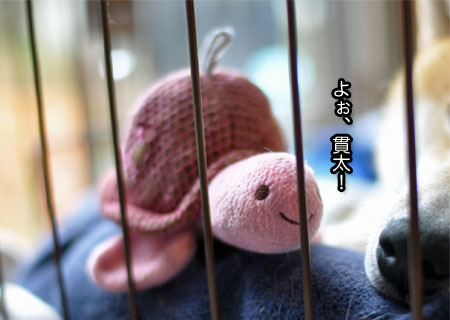 17日ブログ8.jpg