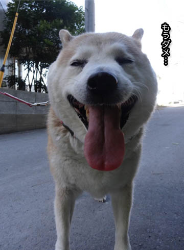8日ブログ6.jpg