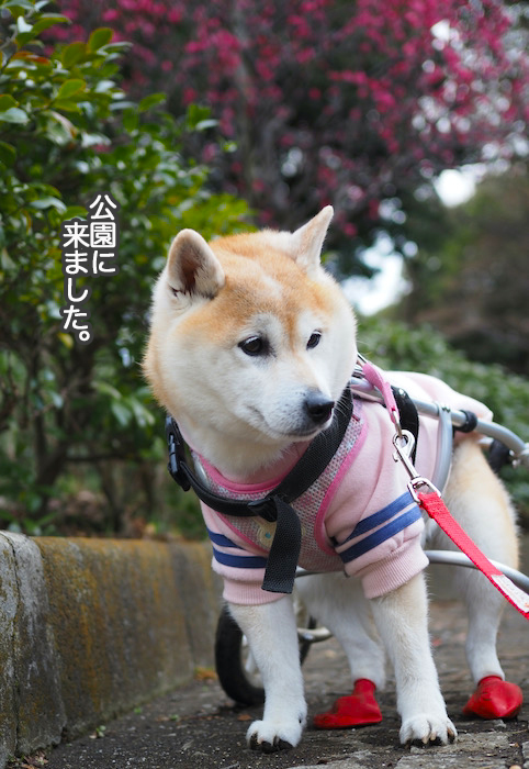 14日夜ブログ２
