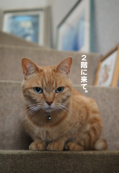 10日ブログ５