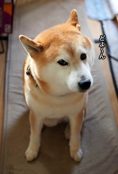 6日夜ブログ３