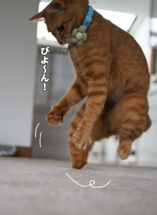 6日夕ブログ５