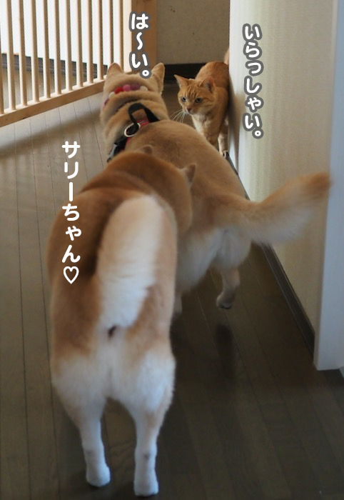 15日夕ブログ９