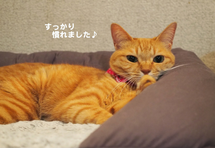 28日夕ブログ2