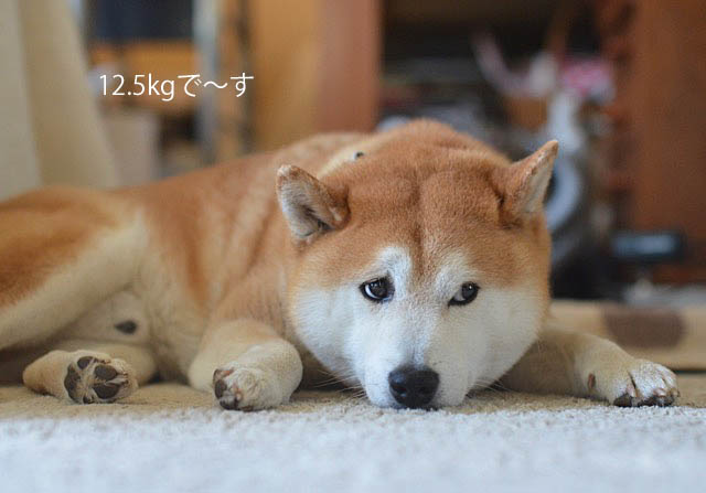 14日ブログ7
