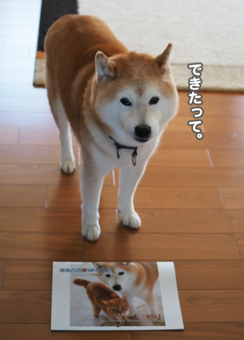 15日夕ブログ２