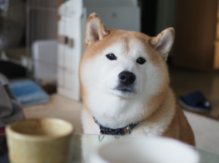 25日夕ブログ８