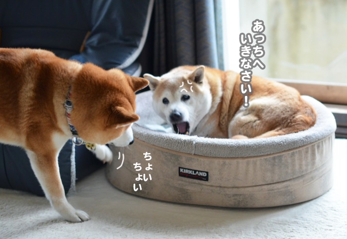 8日夕ブログ10
