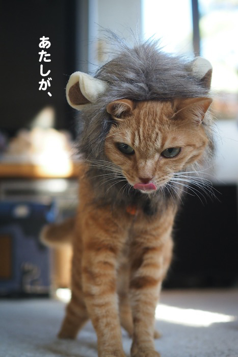 1日夕ブログ２