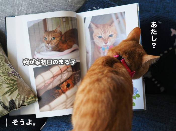 22日夕ブログ８