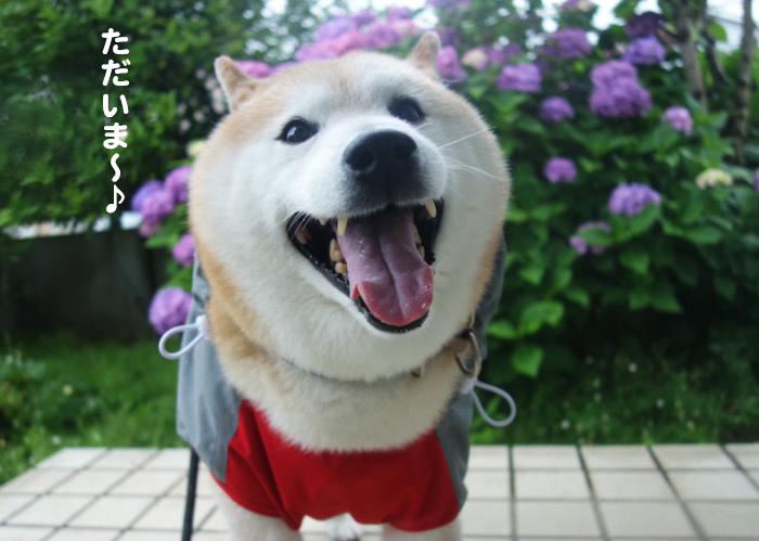 14日夜ブログ７