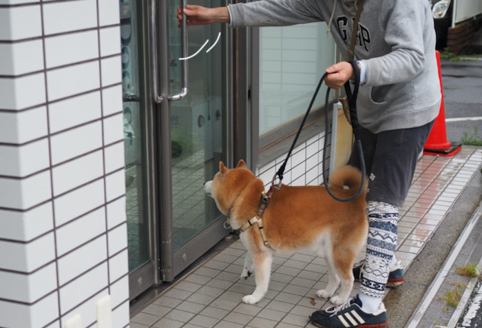 21日夕ブログ６