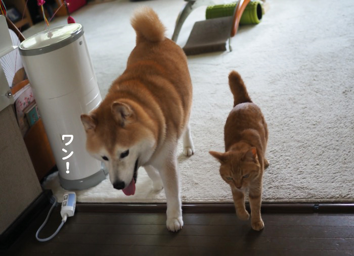 21日ブログ１