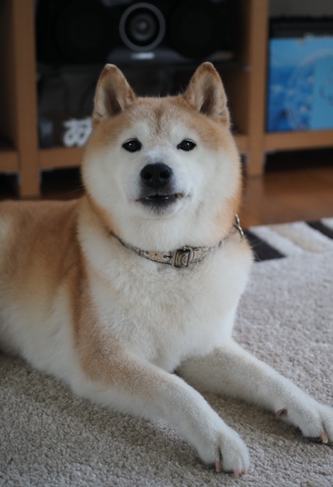 ９日夕ブログ２