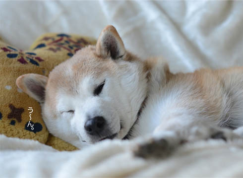 24日ブログ3.jpg