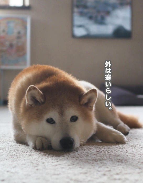 25日夕ブログ２