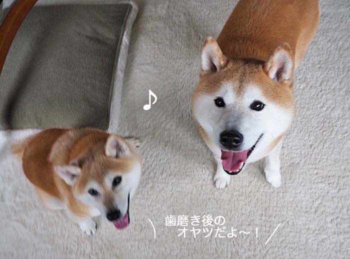 20日夜ブログ２