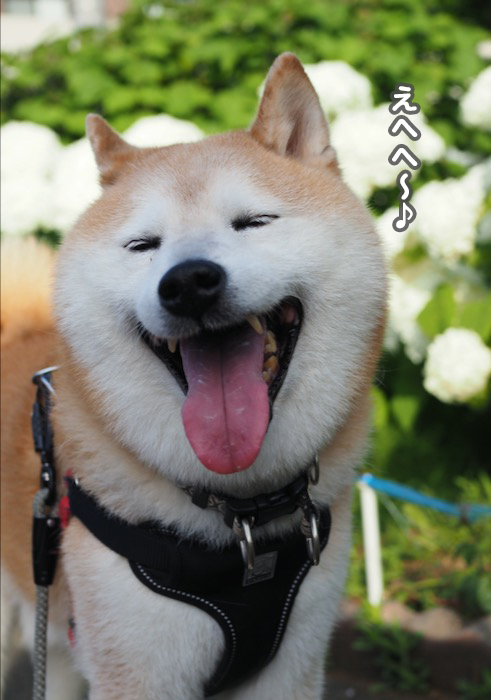 15日夕ブログ7