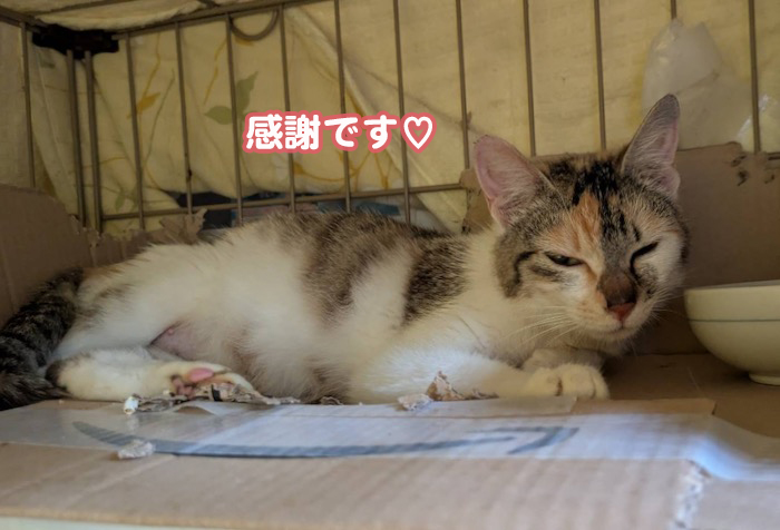 16日ブログ５