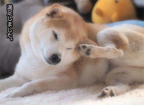 28日ブログ8.jpg