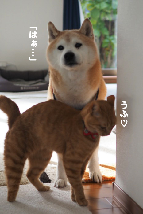 15日夕ブログ１０