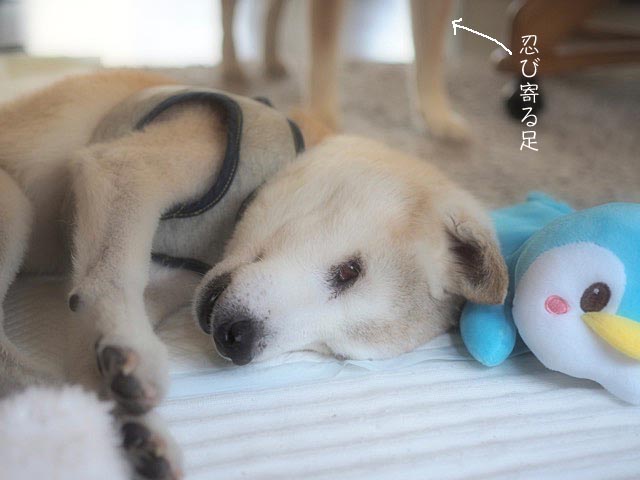22日ブログ3