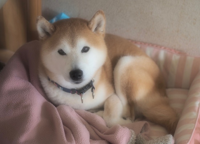 27日夜ブログ７