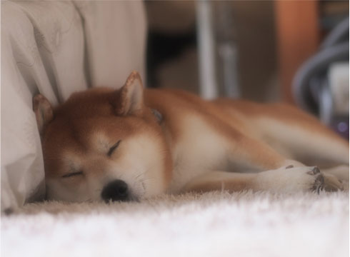 23日ブログ10.jpg