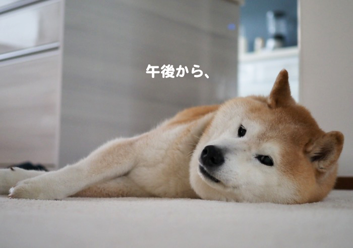 21日夕ブログ２