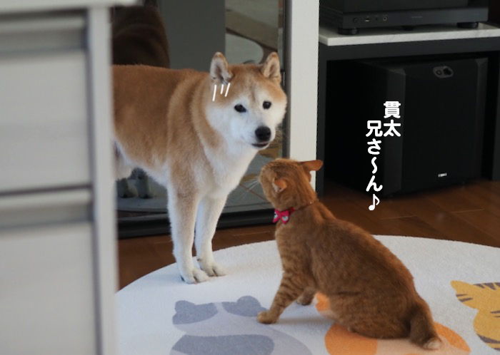 9日夕ブログ２
