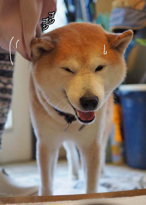 1日午後ブログ６