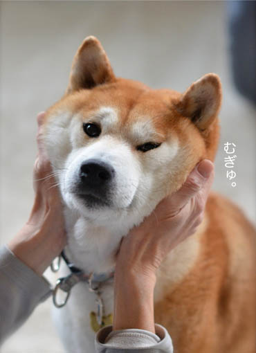 27日ブフログ9.jpg