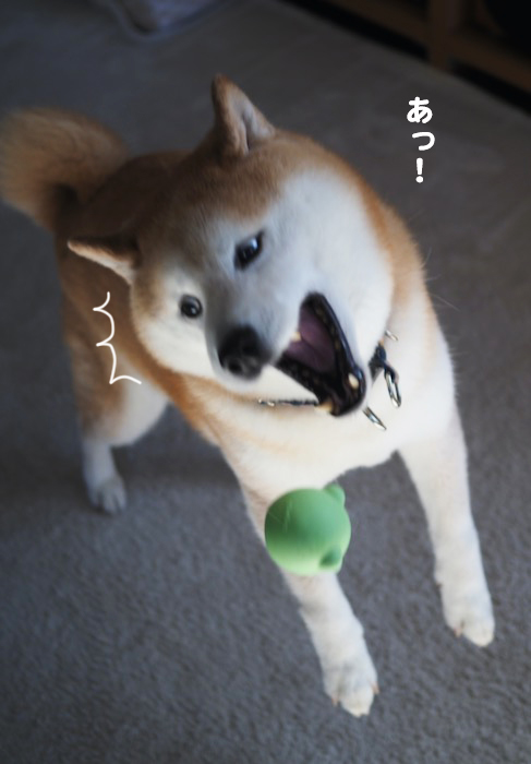 24日ブログ５