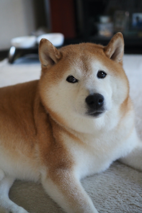 30日ブログ２