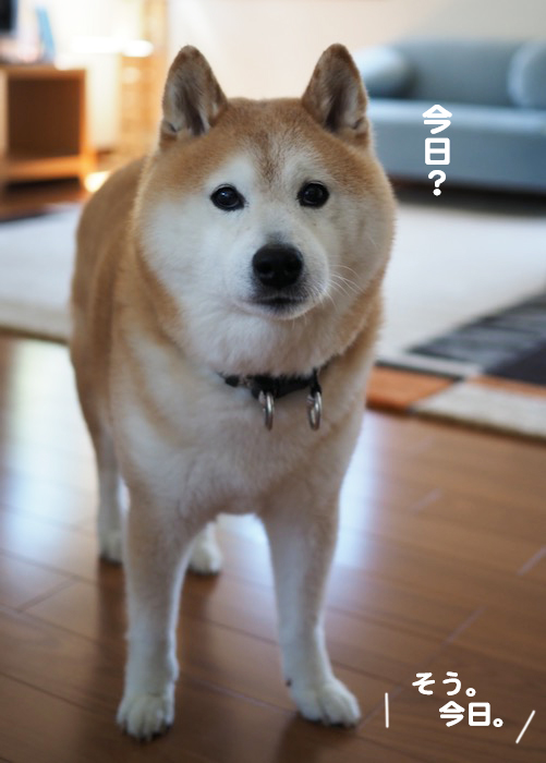10日ブログ２