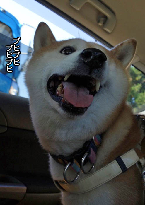 13日夜ブログ５