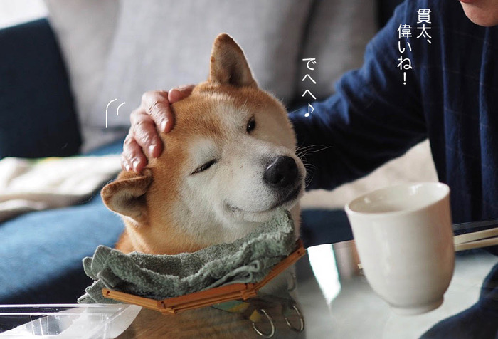 15日ブログ7
