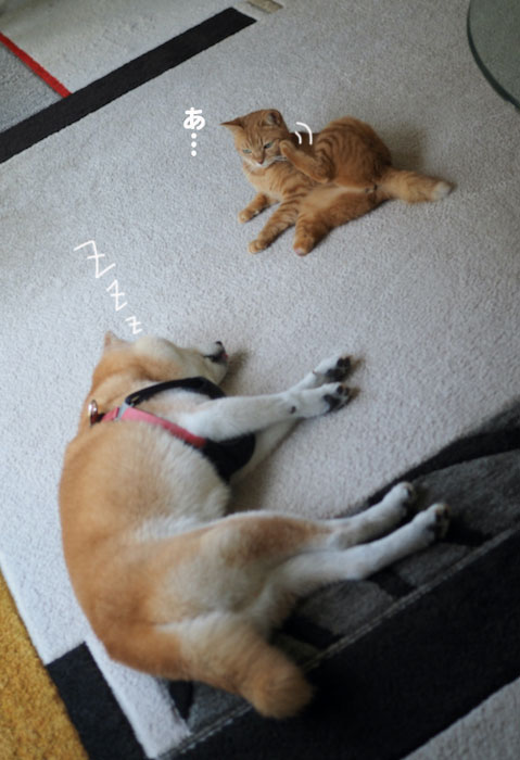 10日ブログ１