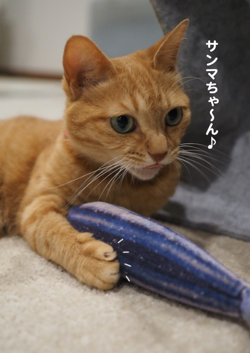 13日夕ブログ２