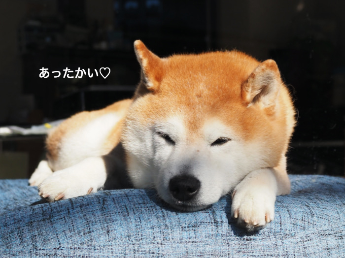 2日のブログ３