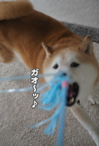 17日夕ブログ３
