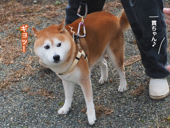 17日夜ブログ７
