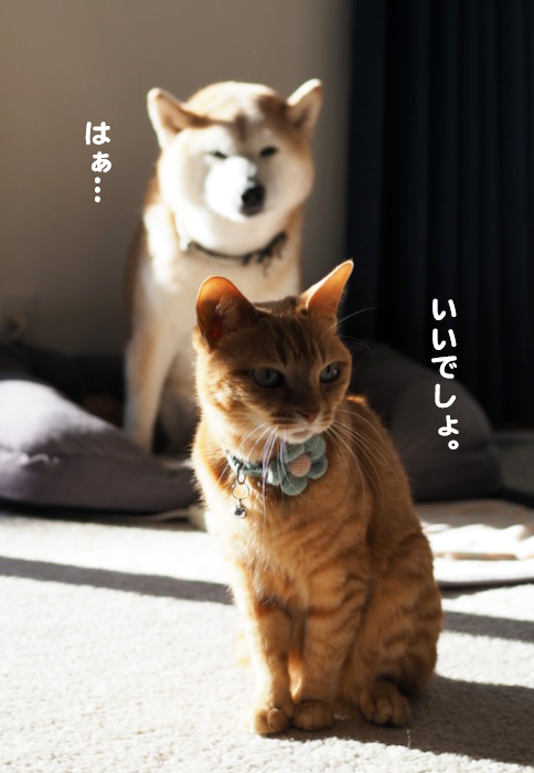 10日ブログ４