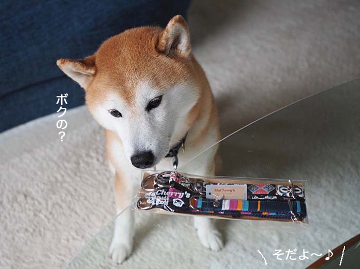 16日夜ブログ３