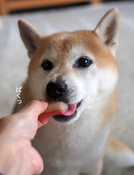 19日ブログ３