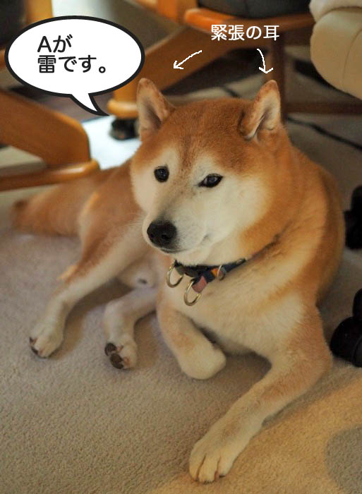 2日午後ブログ２