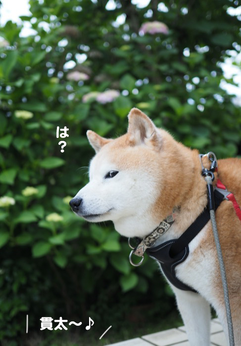 31日夕ブログ３