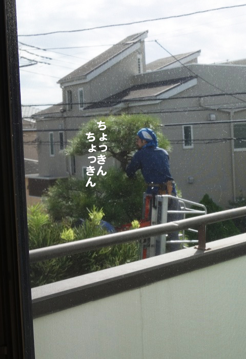 6日ブログ５